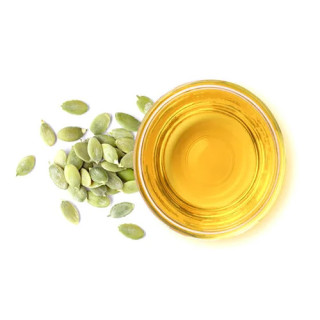 Pumpkin Seed Oil (Roghan-e-Kadu)