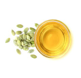 Pumpkin Seed Oil (Roghan-e-Kadu)