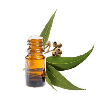 Eucalyptus Oil(sudipa ka til)