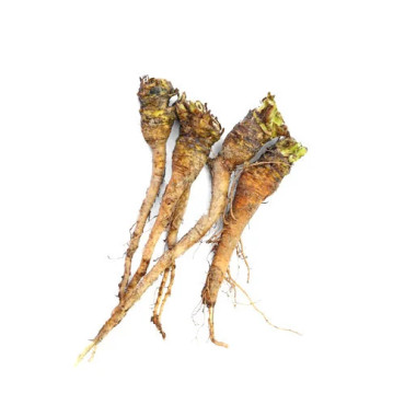 Dandelion Root (Tukhme Kasni Root)