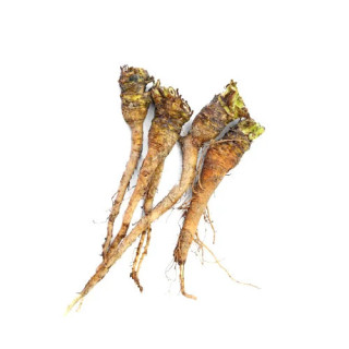 Dandelion Root (Tukhme Kasni Root)