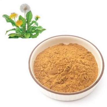 Dandelion Extract