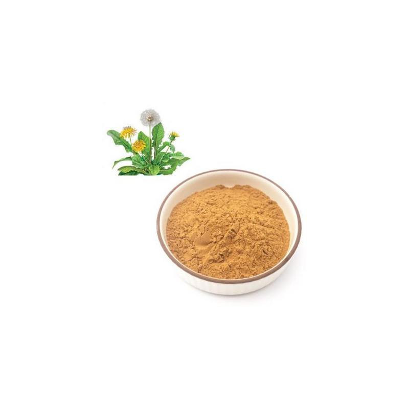 Dandelion Extract