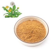 Dandelion Extract