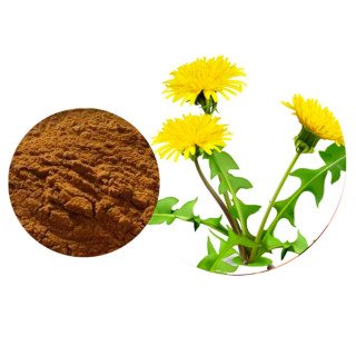 Dandelion Extract