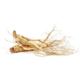Buy Ginseng (Man-Root) Online in Pakistan - Hafiz Pansar