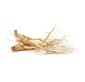 Buy Ginseng (Man-Root) Online in Pakistan - Hafiz Pansar