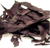 Alkanet Root (Ratanjoot)