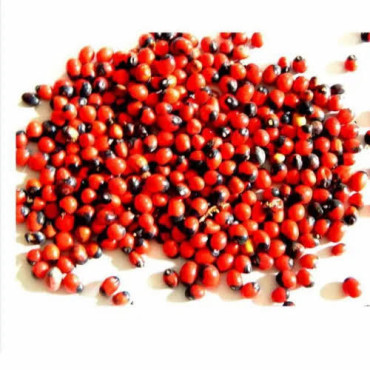Red Ghungchi Seeds (Ratti Surkh)
