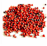 Red Ghungchi Seeds (Ratti Surkh)