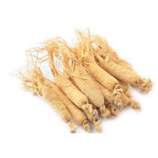 Buy Ginseng (Man-Root) Online in Pakistan - Hafiz Pansar