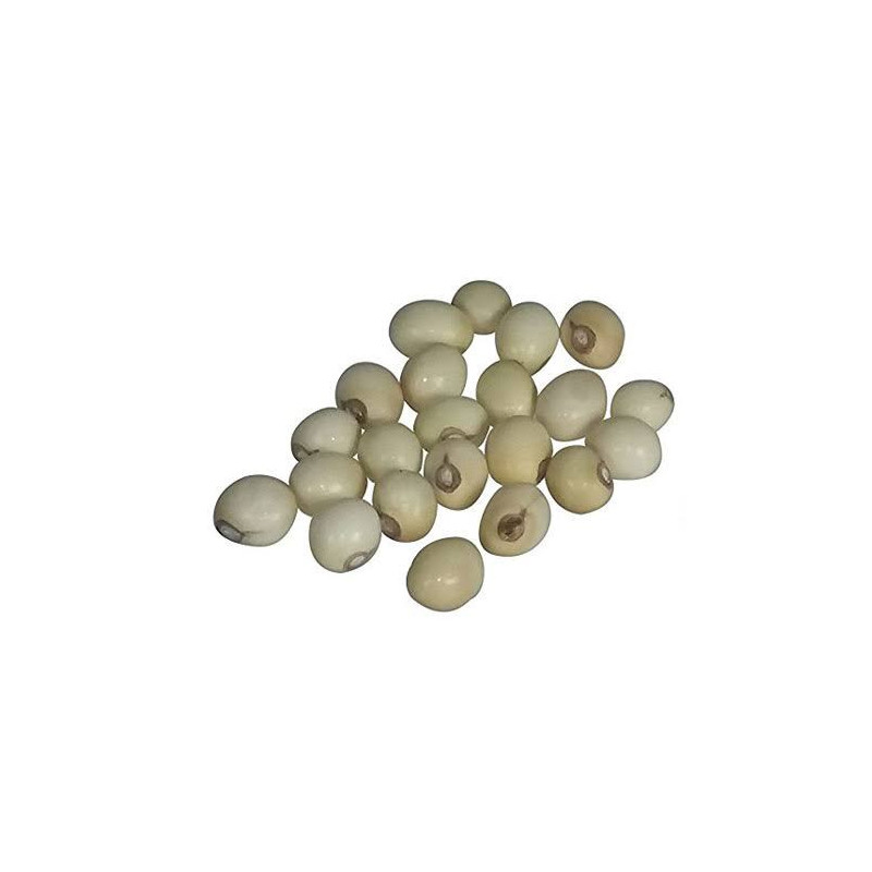 White Ghungchi Seeds (Ratti Safeed)
