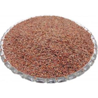 Wall Flower Seeds (Todri Surkh)