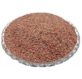 Wall Flower Seeds (Todri Surkh)