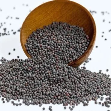 Mustard Seeds (Sarson Siyah/Rai)