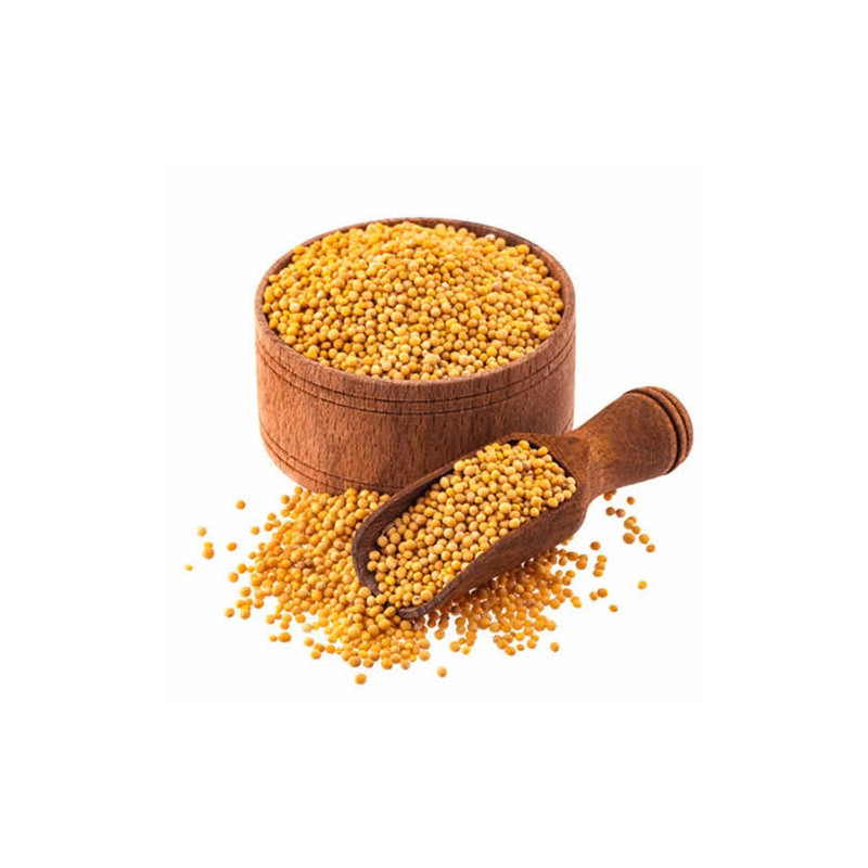 White Mustard Seed (Sarsoon Safeed/Rai)