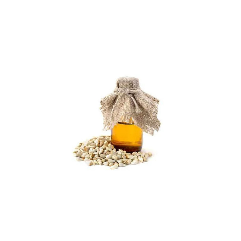 Buy Safflower Seeds Oil (Qurtam Oil) Online in Pakistan – Hafiz Pansar
