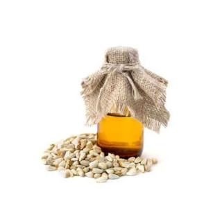Buy Safflower Seeds Oil (Qurtam Oil) Online in Pakistan – Hafiz Pansar