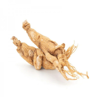 Buy Ginseng (Man-Root) Online in Pakistan - Hafiz Pansar