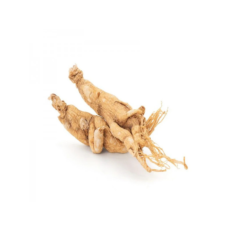 Buy Ginseng (Man-Root) Online in Pakistan - Hafiz Pansar Buy Ginseng (Man-Root) Online in Pakistan - Hafiz Pansar