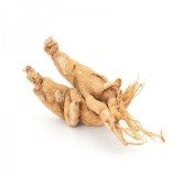 Buy Ginseng (Man-Root) Online in Pakistan - Hafiz Pansar
