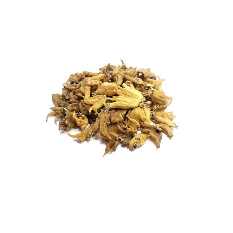 Buy Orchis Latifolia (Salab Panja) Online in Pakistan - Hafiz Pansar