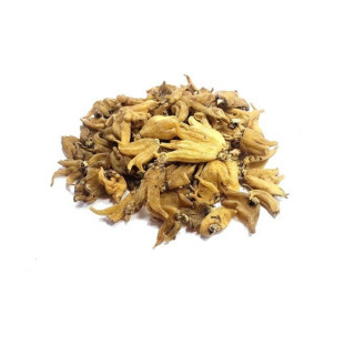 Buy Orchis Latifolia (Salab Panja) Online in Pakistan - Hafiz Pansar