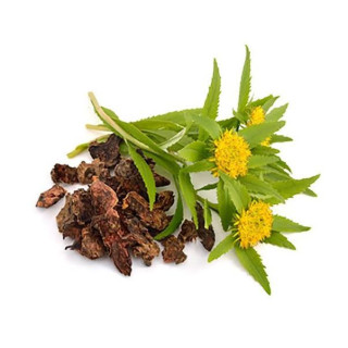 Buy Rhodiola Rosea Extract in Pakistan – Natural Energy & Stress Relief