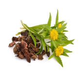 Buy Rhodiola Rosea Extract in Pakistan – Natural Energy & Stress Relief