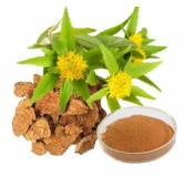 Buy Rhodiola Rosea Extract in Pakistan – Natural Energy & Stress Relief