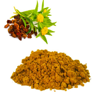 Buy Rhodiola Rosea Extract in Pakistan – Natural Energy & Stress Relief