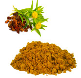 Buy Rhodiola Rosea Extract in Pakistan – Natural Energy & Stress Relief