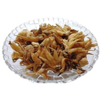 Buy Orchis Latifolia (Salab Panja) Online in Pakistan - Hafiz Pansar