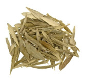 Olive Leaves (Barg e Zaitoon)