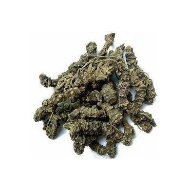 Indian Valerian (Asaroon/Korr/Valeriana Wallichii)