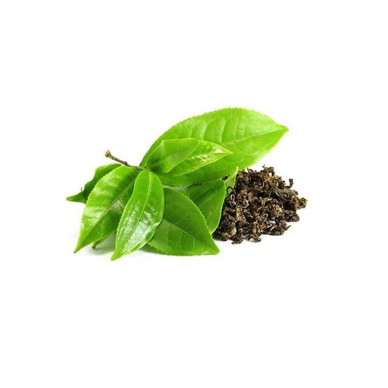 Green Tea Extract (Camellia sinensis)