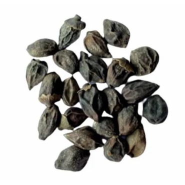Dried Assyrian Plum (Lasoriyan)