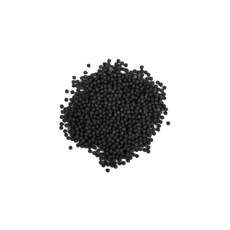 Kateri Seeds (Tukhm e Satyanasi/Solanum Virginianum)