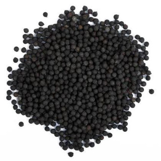 Kateri Seeds (Tukhm e Satyanasi/Solanum Virginianum)