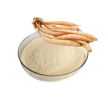 Natural Shatavari Extract for energy, women’s wellness, and immunity. Pure, herbal and effective.