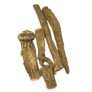 Indian Costus Root (Kuth Talkh)