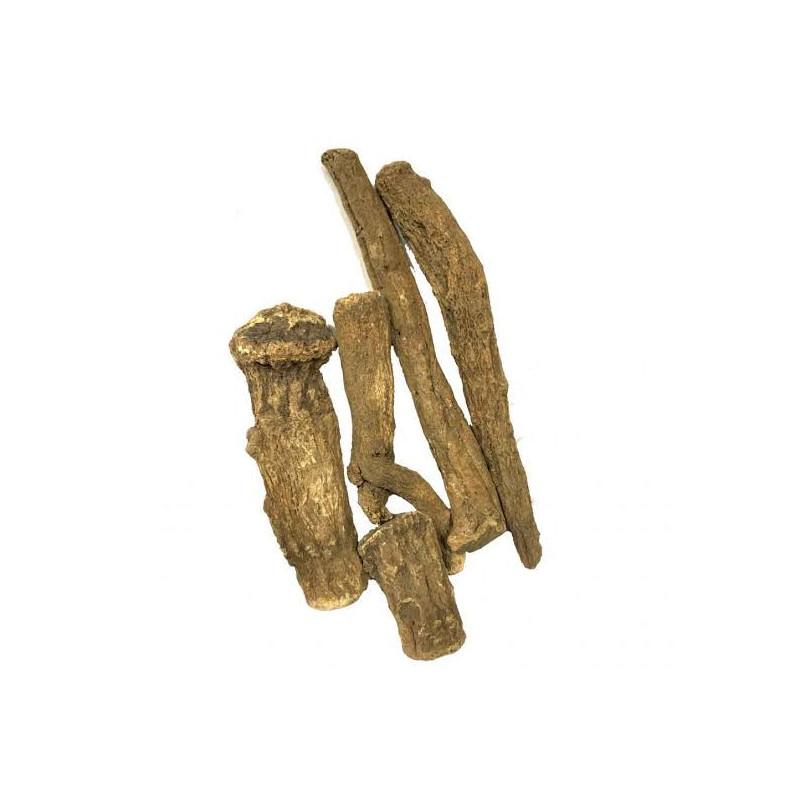 Indian Costus Root (Kuth Talkh)