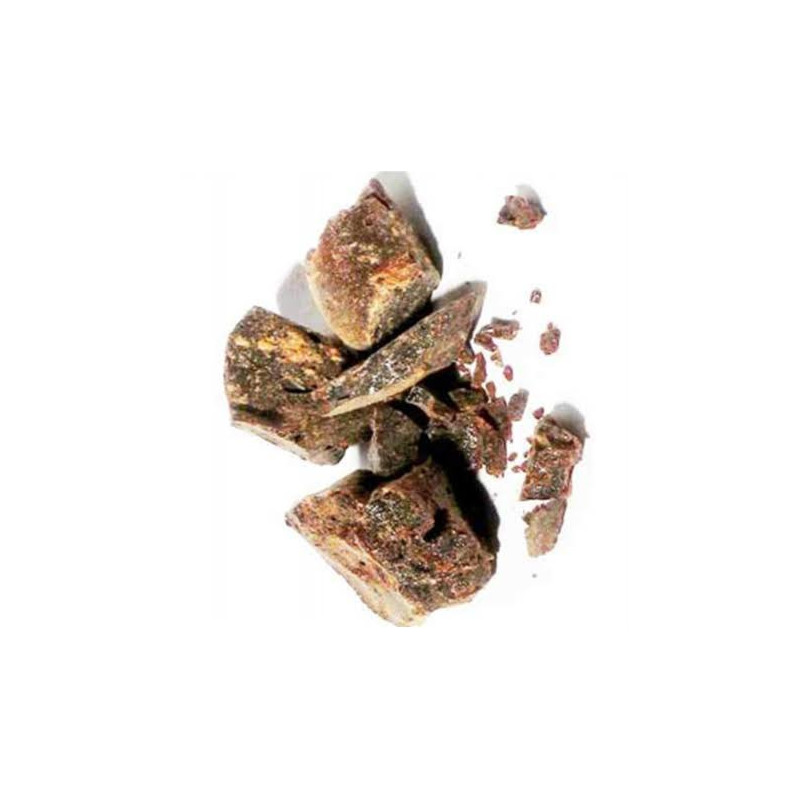 Scammony (Saqmonia)