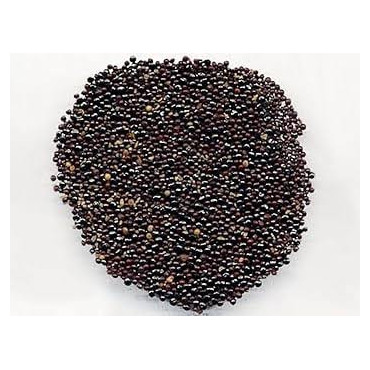 Plumed Cockscomb Seeds (Sirwali/Salara)