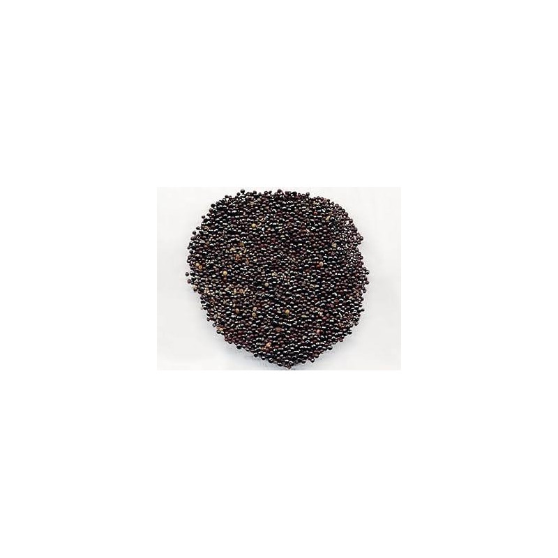 Plumed Cockscomb Seeds (Sirwali/Salara)