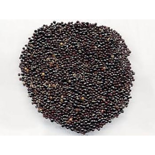 Plumed Cockscomb Seeds (Sirwali/Salara)