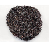 Plumed Cockscomb Seeds (Sirwali/Salara)