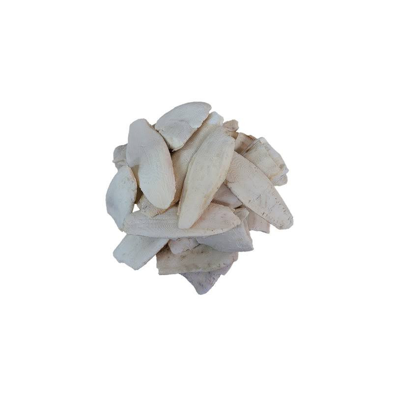 Buy Samundar Jhagh (Cuttlefish Bone) in Pakistan – Hafiz Pansar