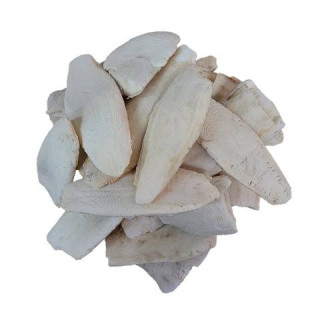 Buy Samundar Jhagh (Cuttlefish Bone) in Pakistan – Hafiz Pansar