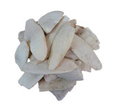 Buy Samundar Jhagh (Cuttlefish Bone) in Pakistan – Hafiz Pansar